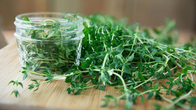 YEMEKLERDEN 30 DAKİKA ÖNCE İÇİNCE VÜCUDU YENİLİYOR!