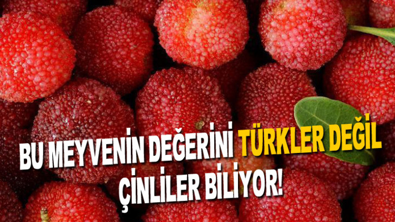 BU MEYVENİN DEĞERİNİ TÜRKLER DEĞİL ÇİNLİLER BİLİYOR!