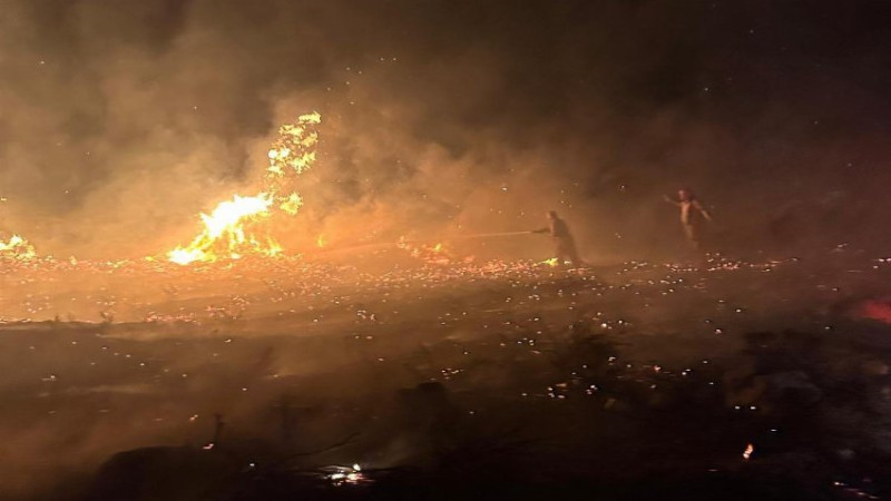 İZMİR CAYIR CAYIR YANDI! 6 İLÇEDE ORMANLAR KÜL OLDU